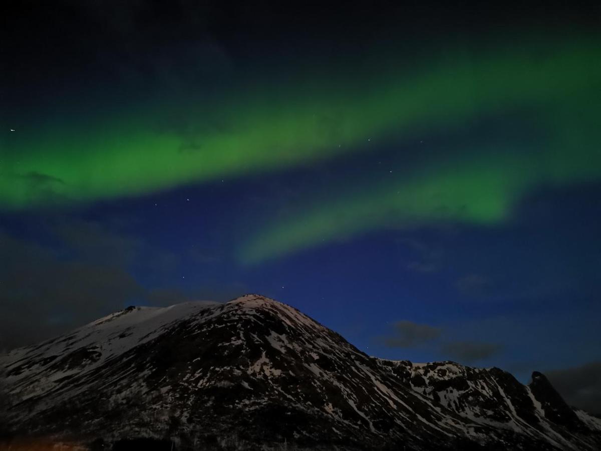 Unique And Charming House At The Foot Of Lofoten'S Highest Mountain Сволвер Екстер'єр фото